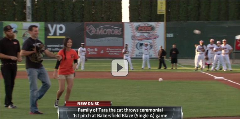 Photo of How Tara, the “Hero Cat,” made SportsCenter