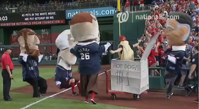 Dallas Braden pops out of a makeshift hotdog stand as part of a scheme to help Teddy Roosevelt win the Nationals’ mascot race.