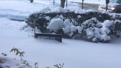 Photo of There’s no business like snow business: A time-lapse look at a blizzard