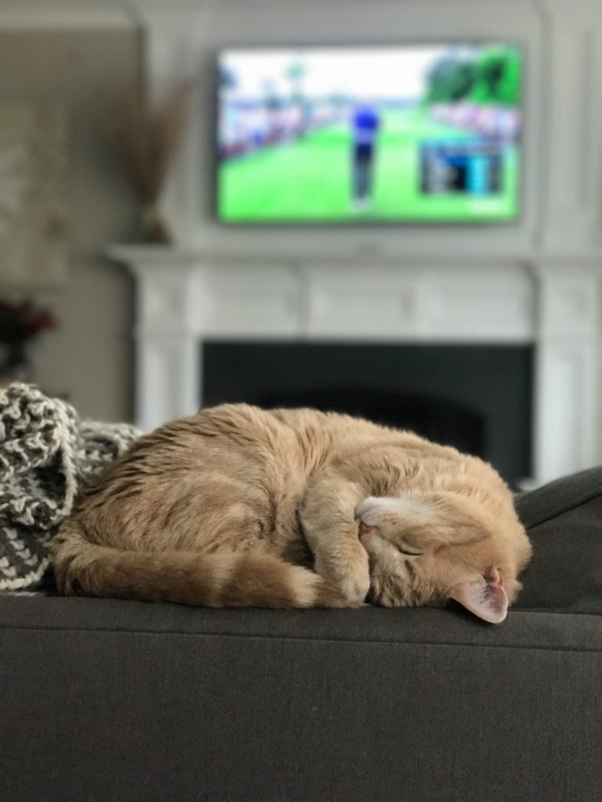 (Photo courtesy of Nicole Briscoe/ESPN)