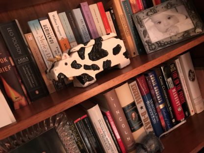 Rolon_Book_Collection-3